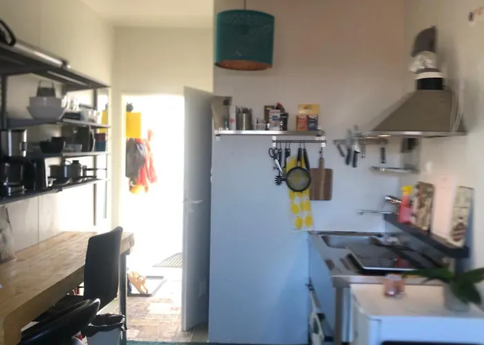 公寓 Hjemmekoselig Studio I Bergstaden, Alt Du Trenger Og Gratis Parkering 勒罗斯